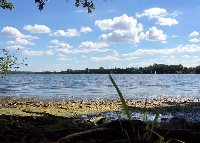 Vakantiehuis Haus Wittensee Bunsdorf