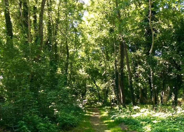 Vakantiehuis Haus Wittensee *